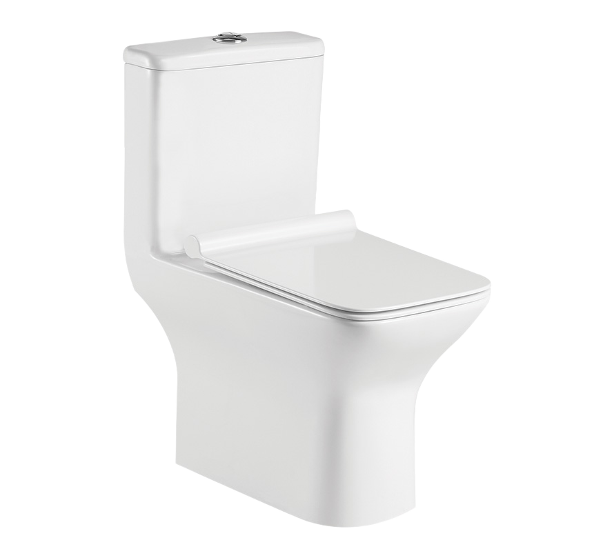 Essence Neo Wall Mount Toilet | Hindware