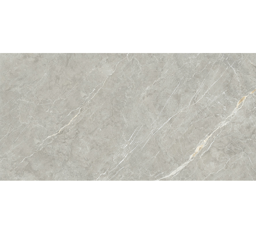DAZZ TACASA GREY MT 80X160 | Hindware Italian Tiles