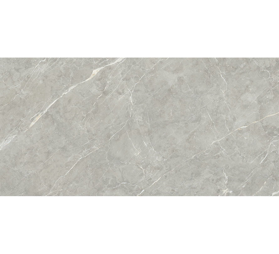DAZZ TACASA GREY MT 80X160 | Hindware Italian Tiles
