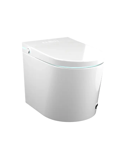 Intelligent Water Closets
