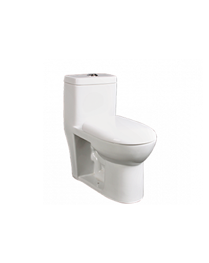 Extended Wall Mount Water Closets