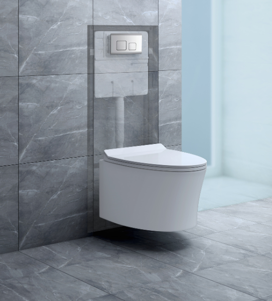 Cisterns & Flushing Valves