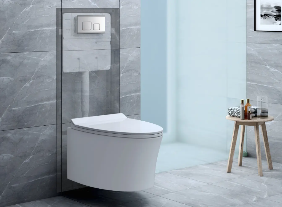 Step-by-Step Guide to Flushing Cistern Installation