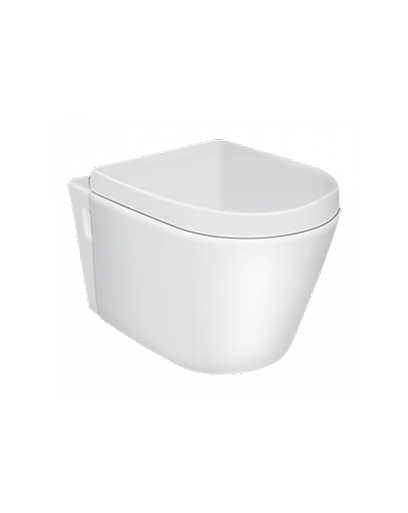 Wall Mount Water Closets