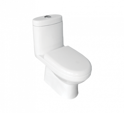 IMMACULA S-220 One Piece Water Closet