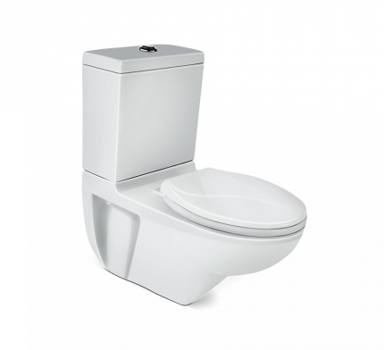 Mario Extended Wall Water Mounted Closet - Star Rated