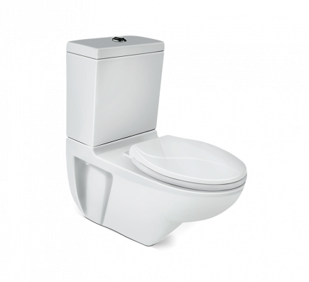 Mario Extended Wall Water Mounted Closet - Star Rated