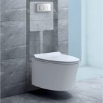 Enigma Rimless Wall Mounted Water Closet
